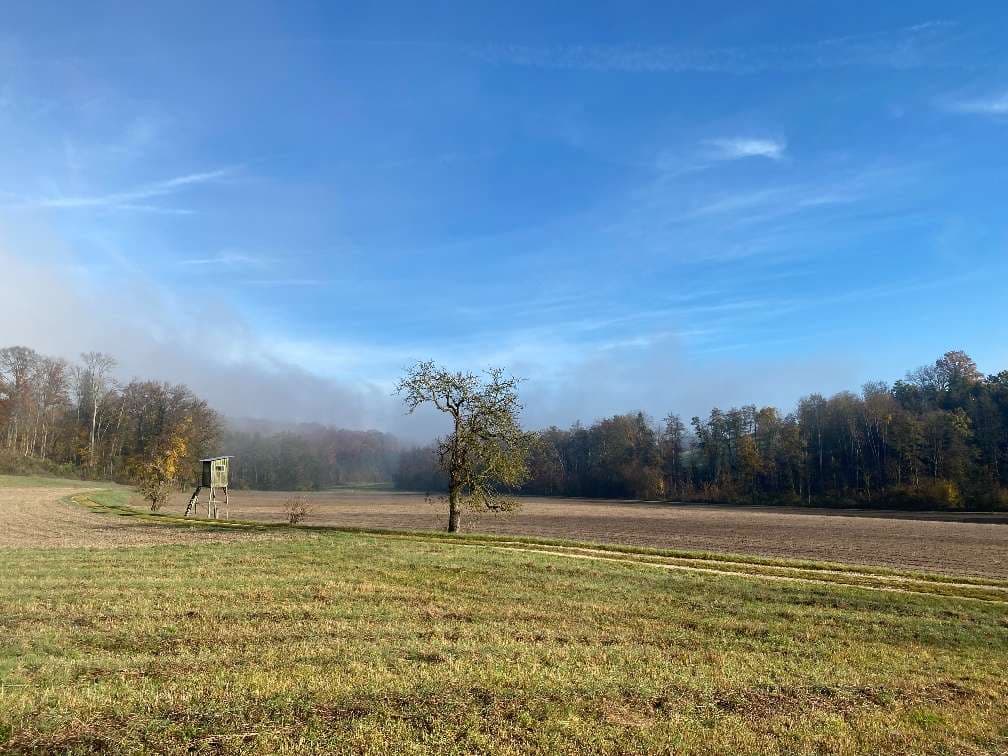 Ackerfläche und Wiesen